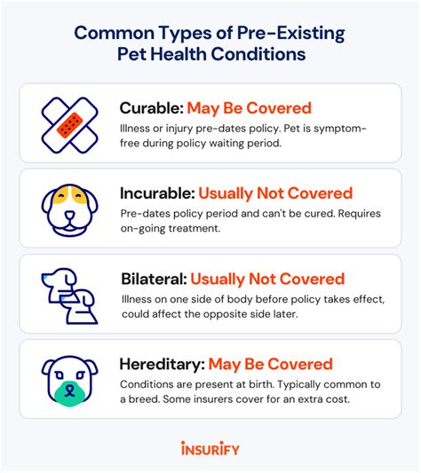 Pre Existing Condition Pet Insurance