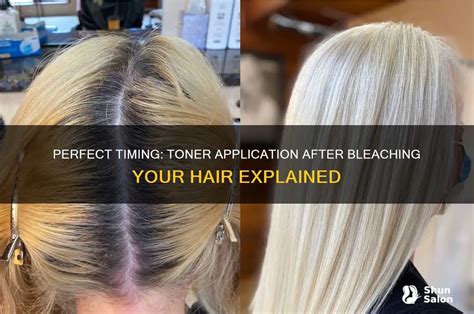 Pre-Application Essentials: Bleaching and Toning Strategy