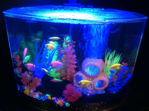 Pre-Made Glow in the Dark Fish Tanks