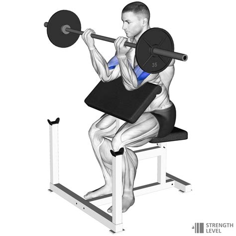 Preacher Curl