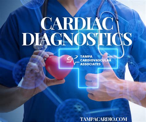 Precision in Cardiac Diagnostics Image