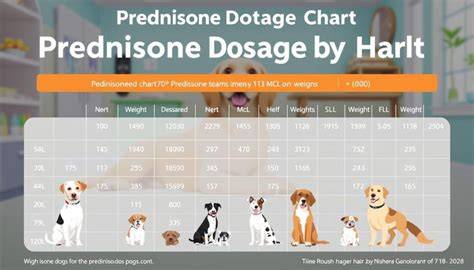 Prednisone Dosage Chart For Dogs