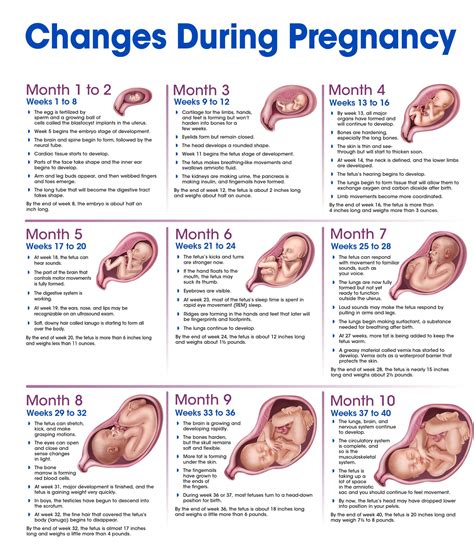 Pregnancy Body Changes: 6 Key Signs