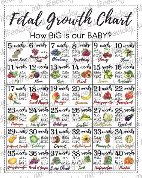 Pregnancy Growth Chart By Week