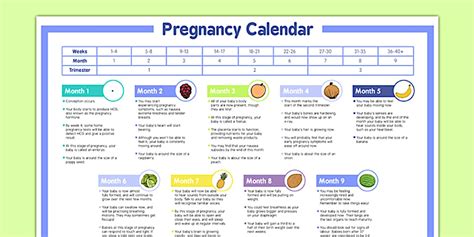 Pregnancy Calendar Week 6 Calendar Printables Free Templates