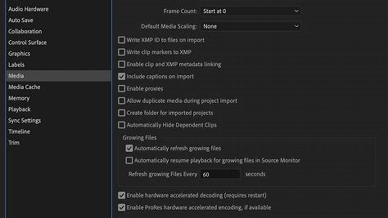 Premiere Pro 2025 System Requirements