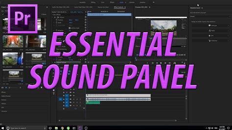 Premiere Pro Essential Sound Panel