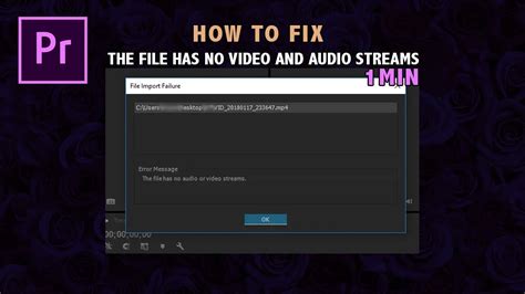 Fix No Video or Audio Streaming Issues in Premiere