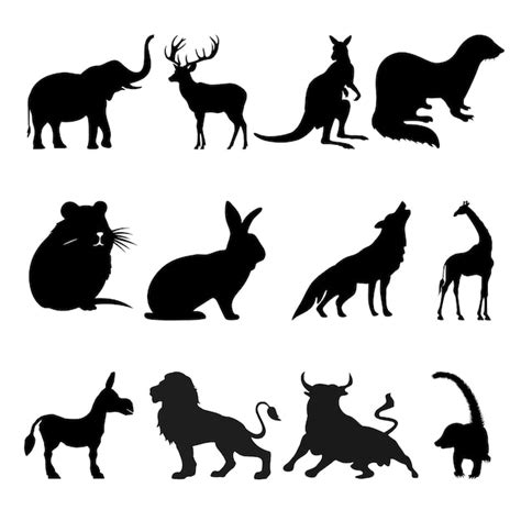 Download Premium Animal Bundle PSD Files