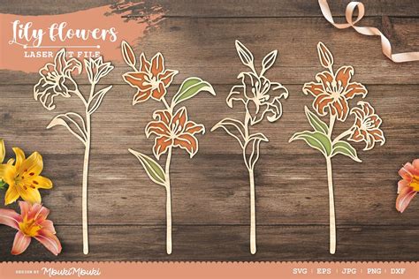 Download Premium Beautiful Flowers Bundle Pictures Files DXF Files