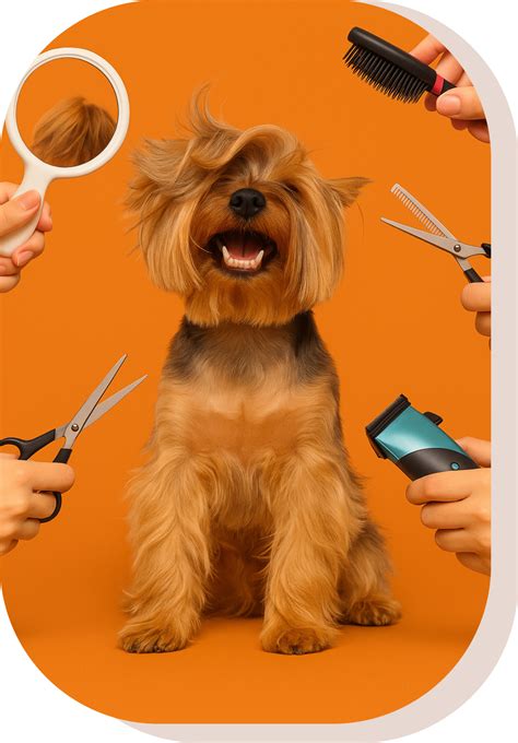 Premium Grooming Services