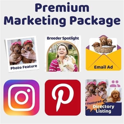 Premium Marketing Package