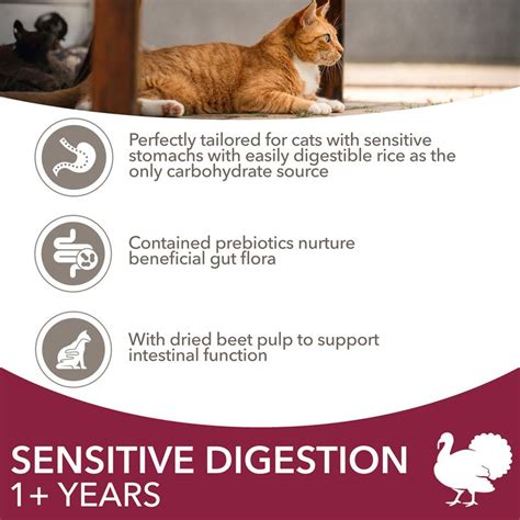 Premium Nutrition for Sensitive Digestion