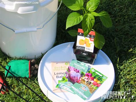 Prep Work: Getting Your Veggies Ready