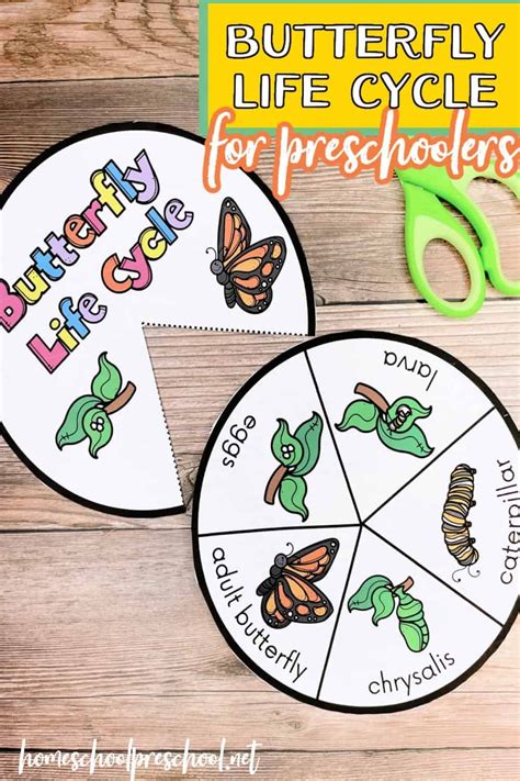 Prep-Free Butterfly Life Cycle Printables for Preschool