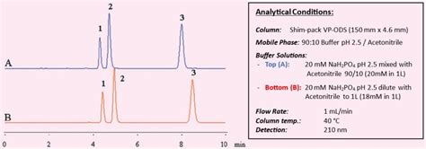 Preparation Phase: Mixing the Base