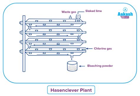 Preparation is Key: The Bleaching Requirement