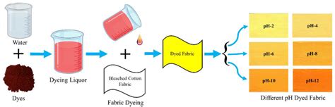 Preparation is Key: The Science of Split Dyeing