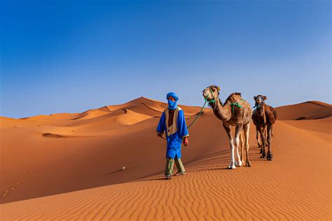 Prepare for Marrakech Desert Tour