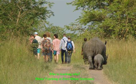 Prepare for Rhino Trekking