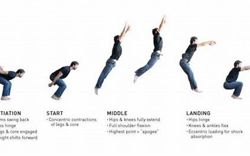 Preparing For A Jumping Movement