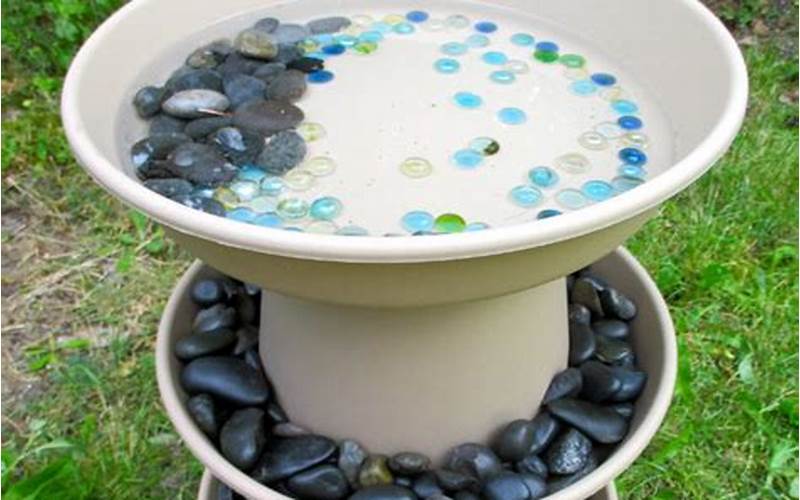 Preparing The Bird Bath