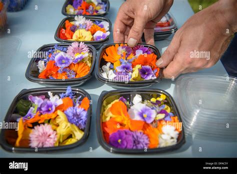 Preparing Edible Flowers