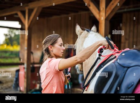 Preparing Horseback Riding