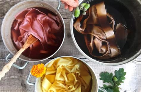 Preparing Natural Dyes