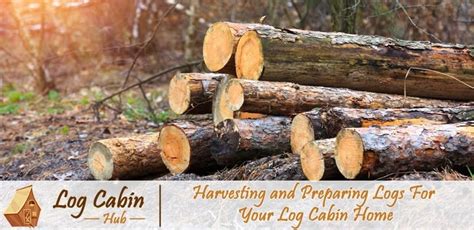 Preparing Your Logs for Paint