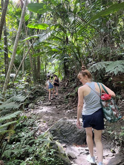 Preparing for El Yunque Hike