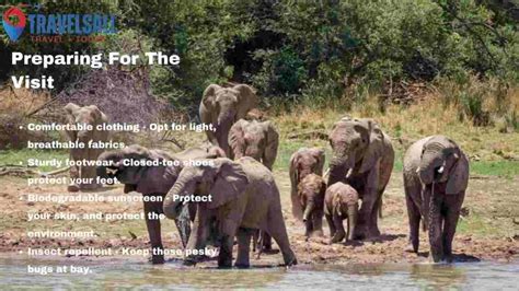 Preparing for Elephant Visit