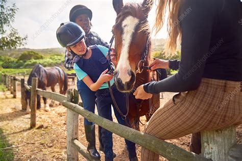 Preparing for Horseback Riding