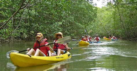 Preparing for Quepos Mangrove Tour