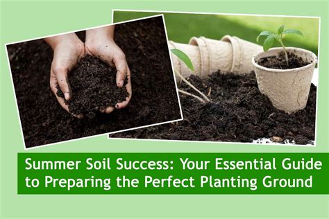 Preparing for Success: Soil and Containers