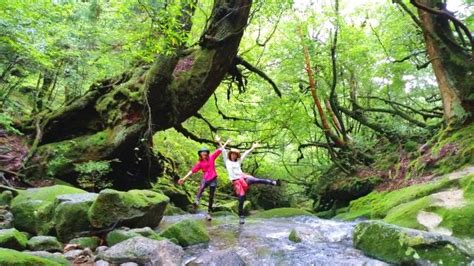 Preparing for Yakushima Activities