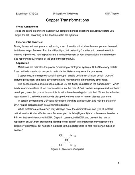 Preparing for Your Copper Transformation