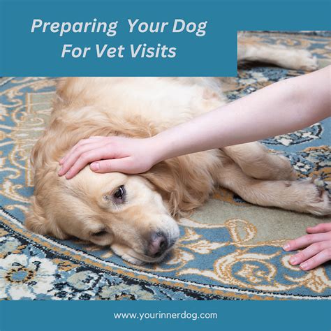 Preparing for Your Dog