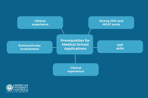Preparing for the Application Essential Prerequisites