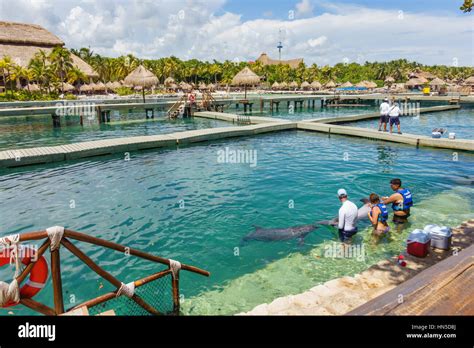 Preparing to swim with dolphins