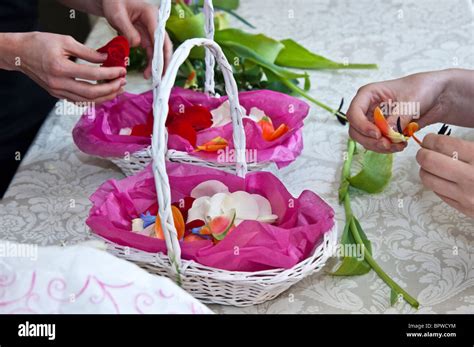 Preparing the Petals