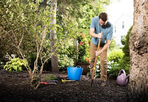 Preparing the Planting Site Under Trees