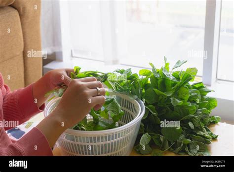 Preparing the Spinach