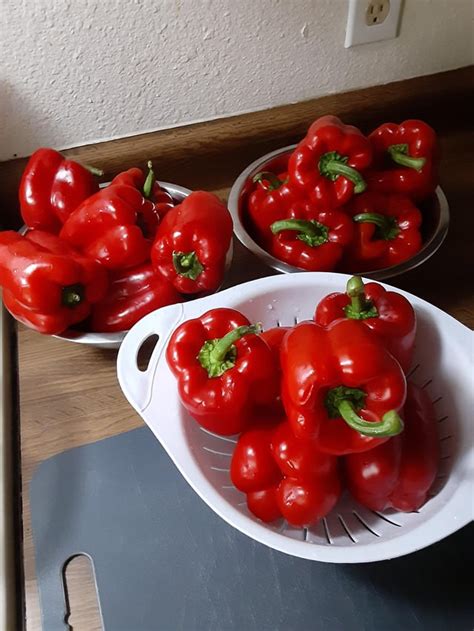 Prepping Your Peppers