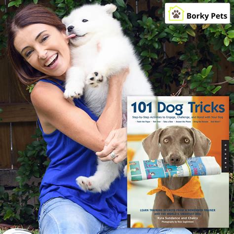 Prerequisites: What Your Dog Must Know First