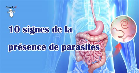 Presence of Parasites