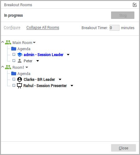 Presenter View and Breakout Rooms