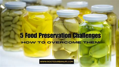 Preservation Challenges