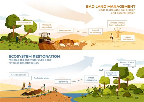 Preservation Challenges: Navigating the Restoration Process Image