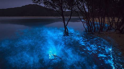 Preserving Luminous Lagoon